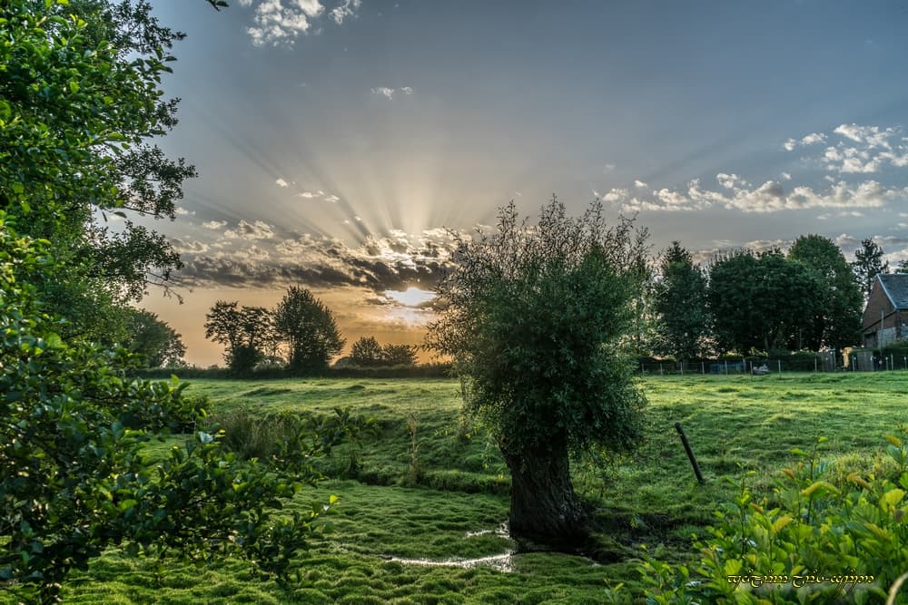 Un éventail dans le bocage