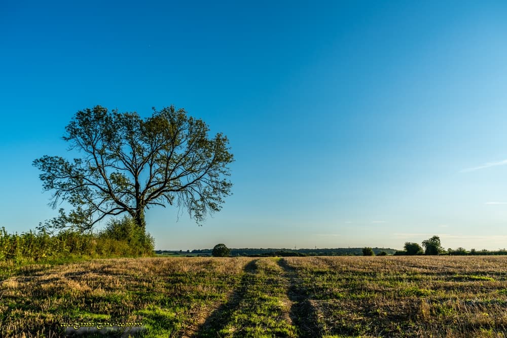 Plein bleu