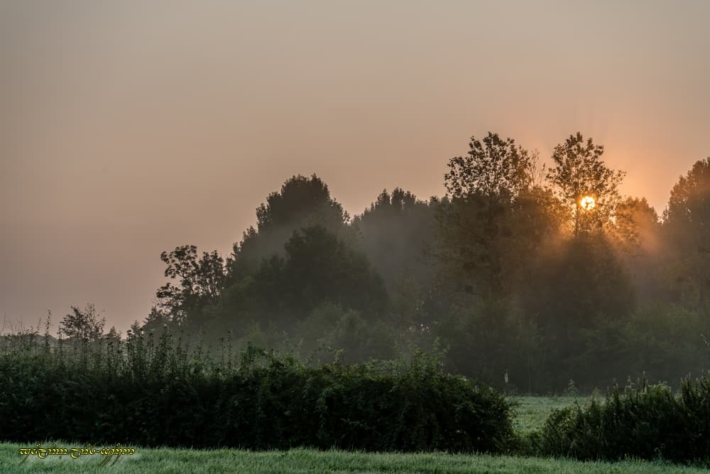 Légers rayons