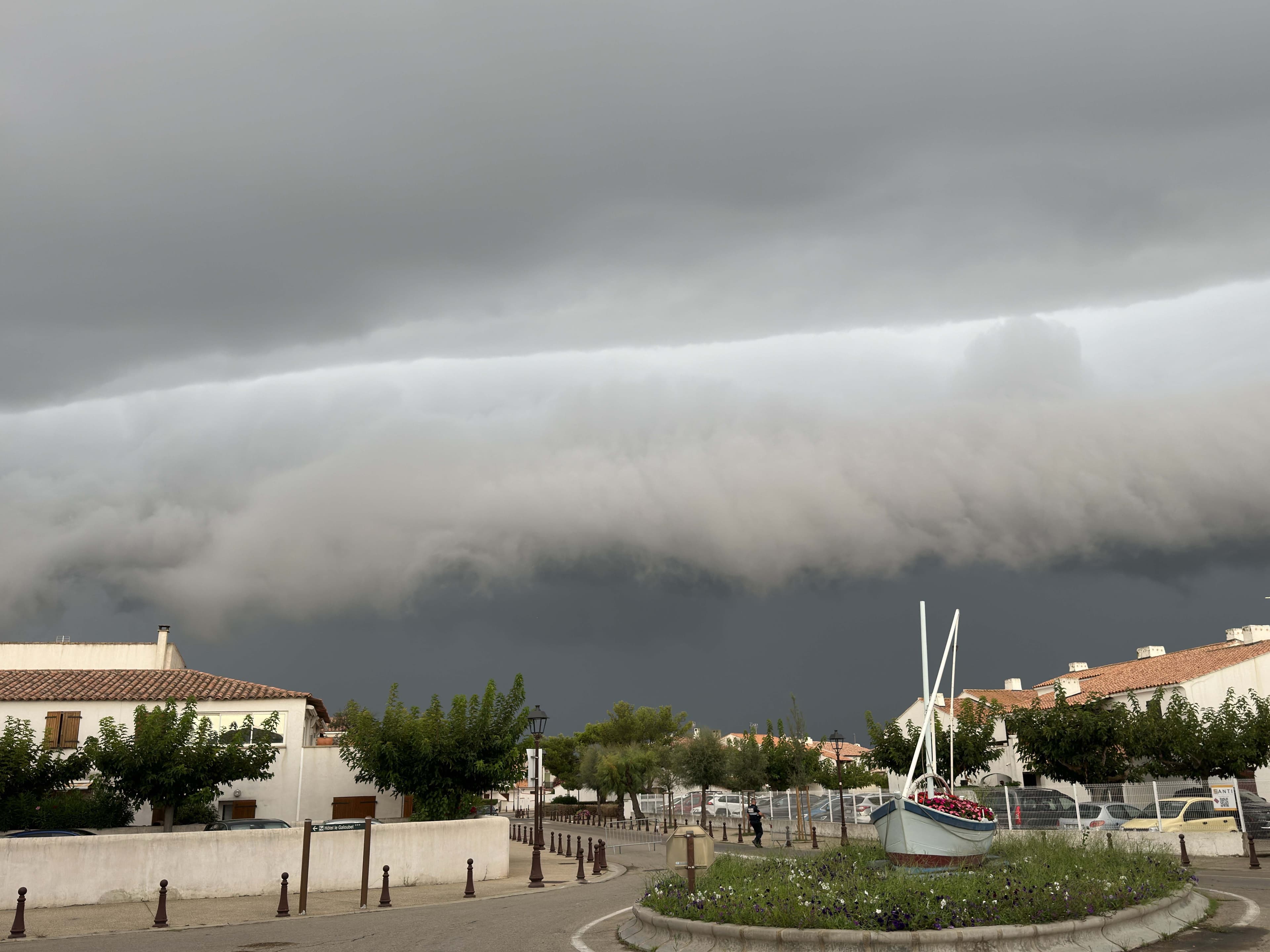 Arcus