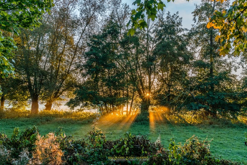 Des rayons dans le bocage