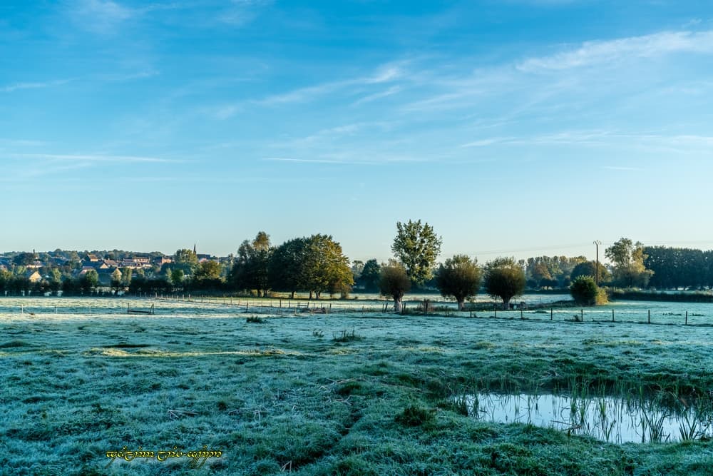 Bien blanc dans le fond