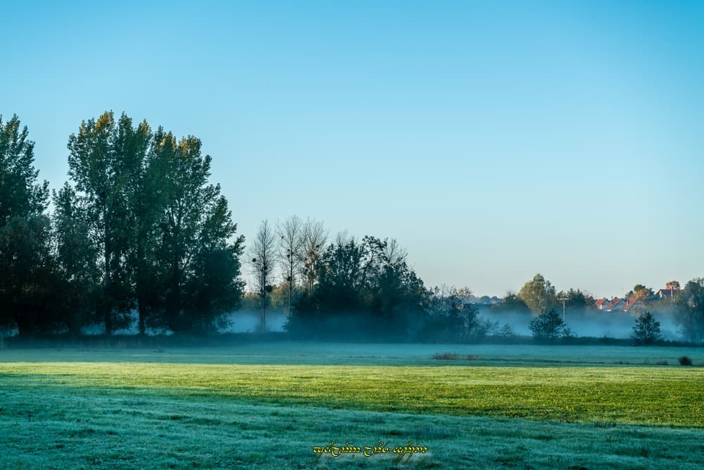 Brume légère et blanchiment non moins léger