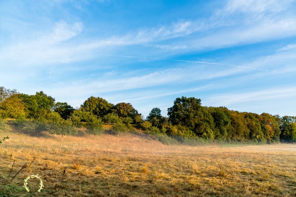 Automne et sécheresse