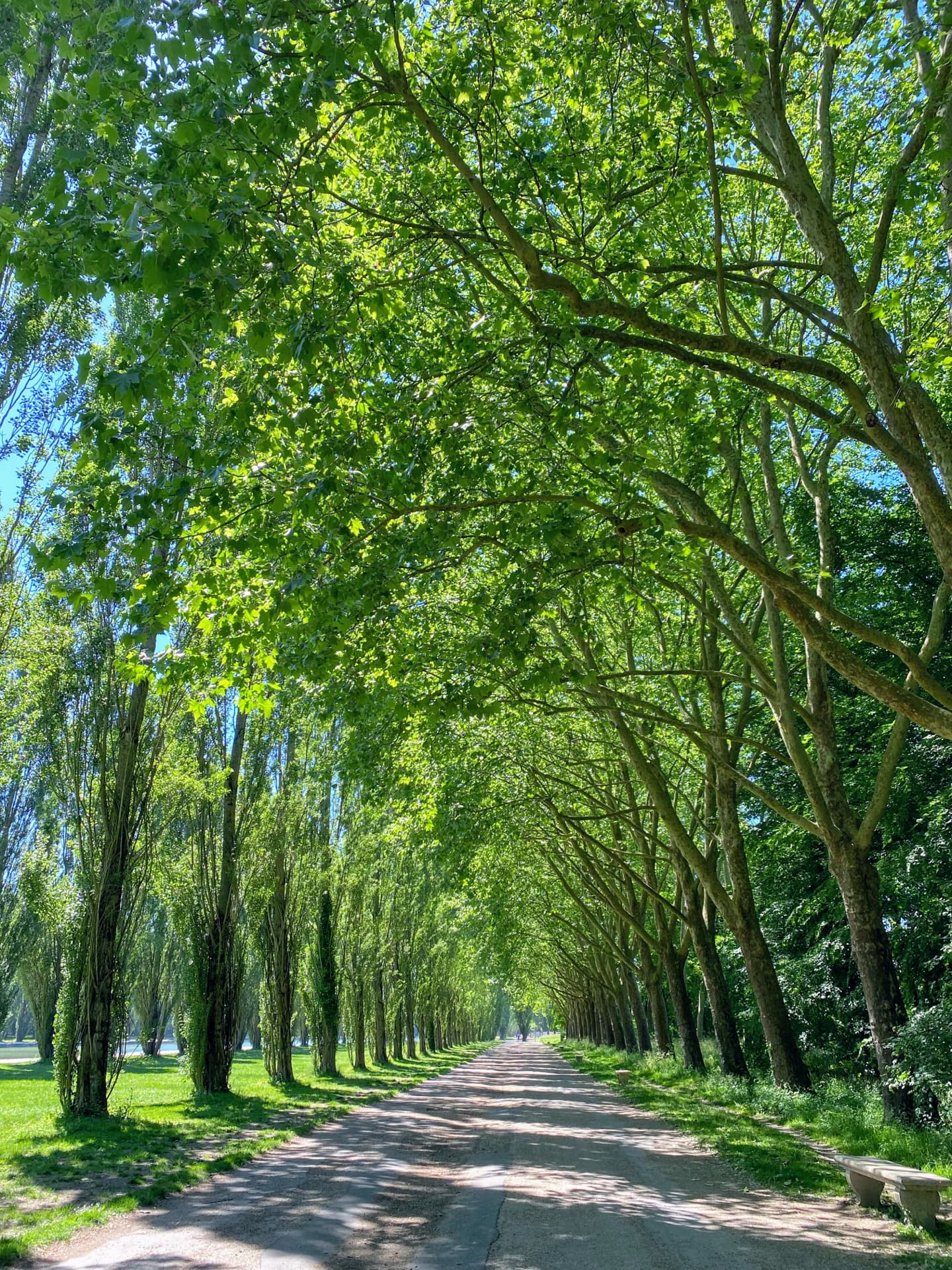 ballade-au-parc