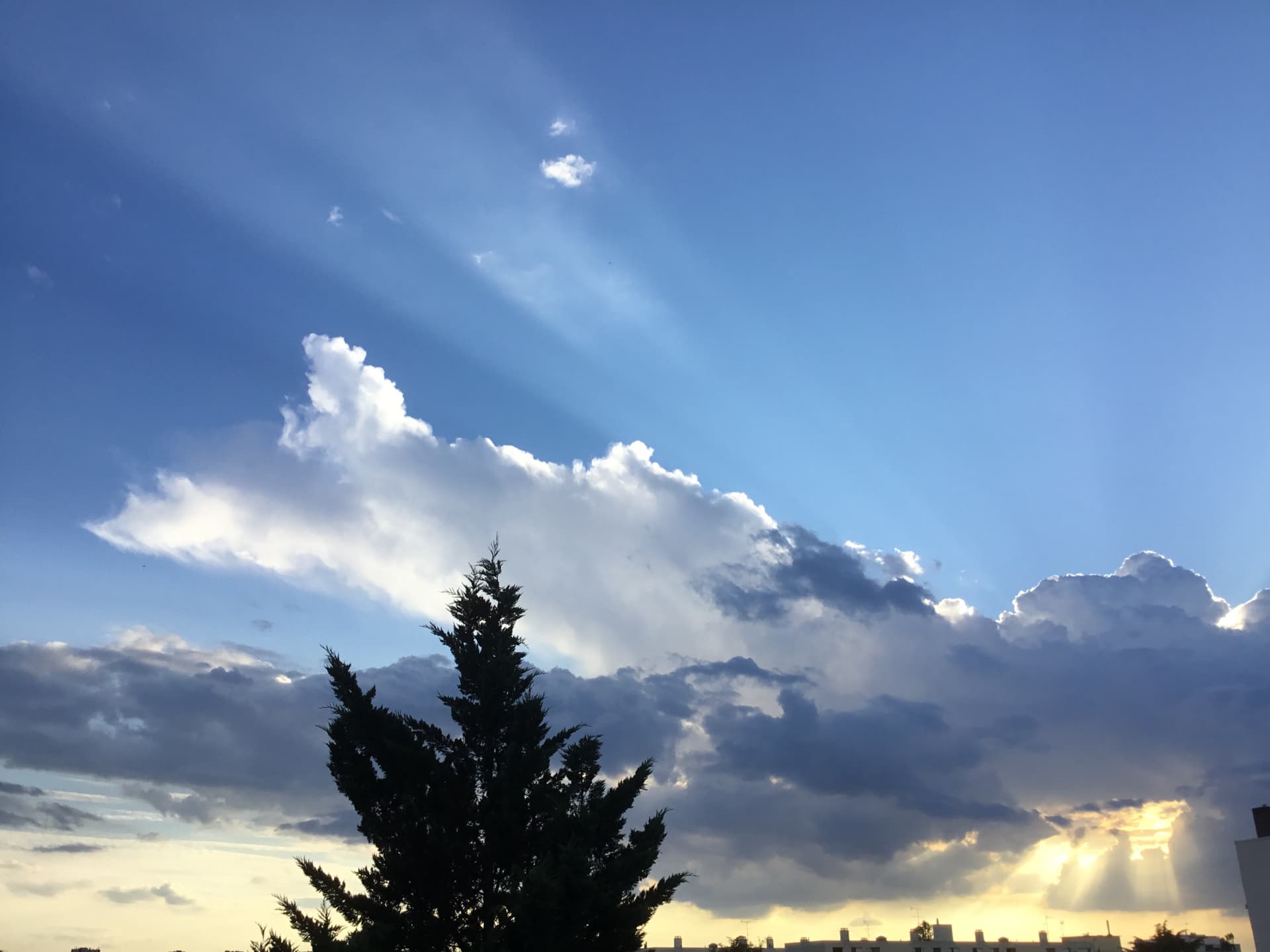 ciel