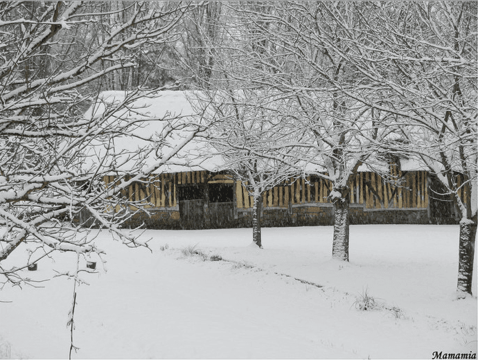 Image d'illustration pour BILAN FÉVRIER 2013 :  froid marqué et neigeux