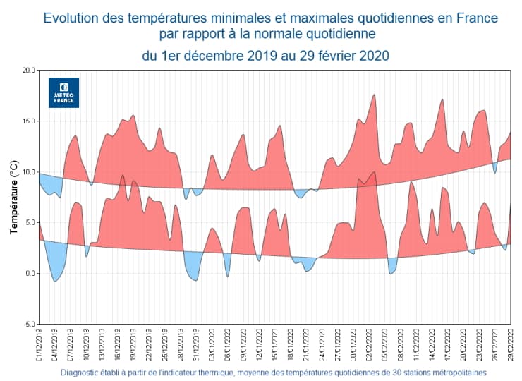 Image d'illustration pour La météo de 2020 responsable de l'invasion de guêpes en France