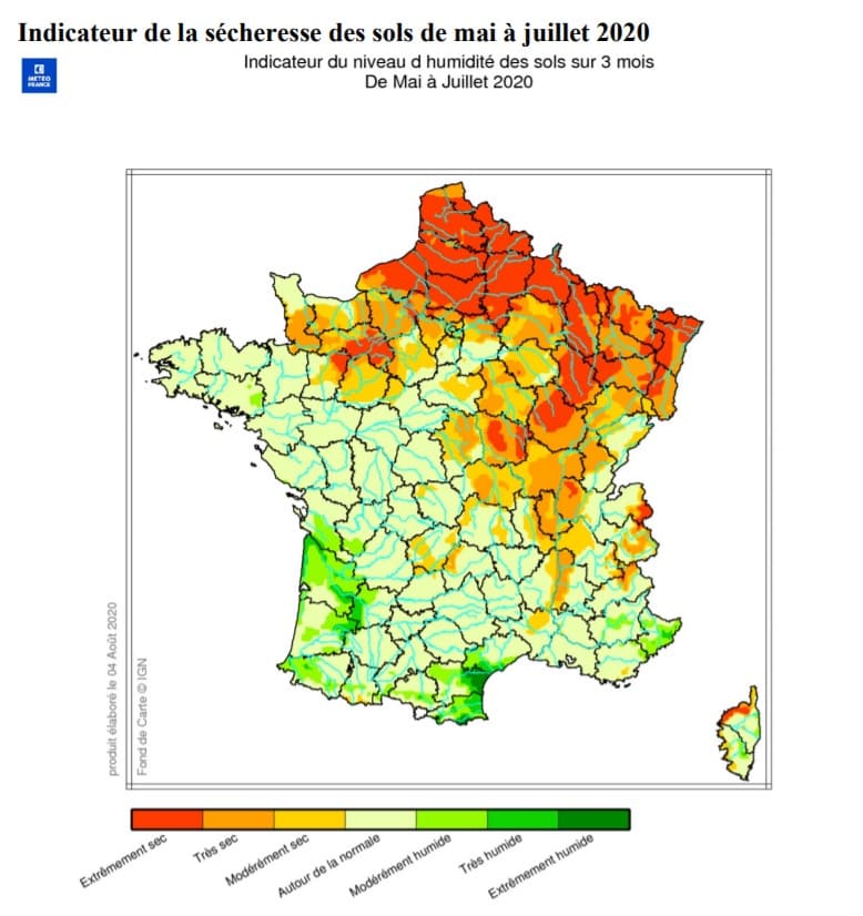Image d'illustration pour Sécheresse et chaleur : Les forêts françaises dépérissent 