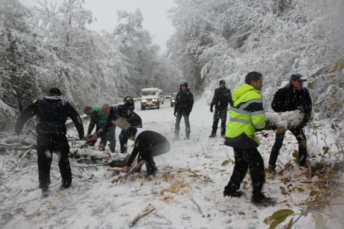 Image d'illustration pour La douceur de cet hiver 2013 / 2014 va-t-elle durer ? 