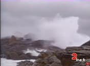 Image d'illustration pour L'ex-ouragan Floyd devenu tempête en France en septembre 1993
