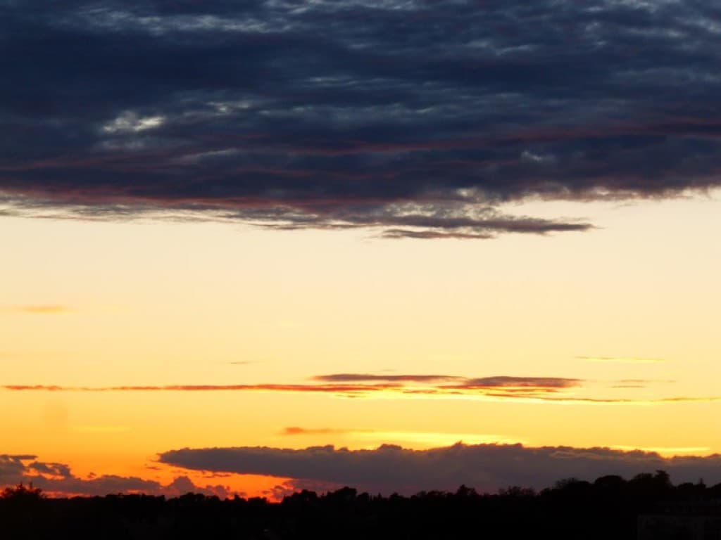 couchant jaune citron