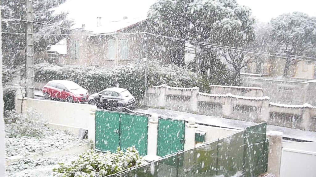 neige ( Mistigri)
