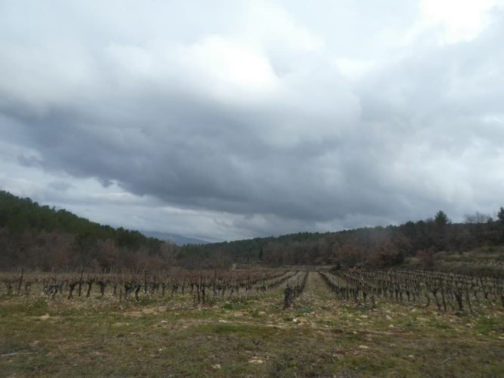 nuages sur les vignes