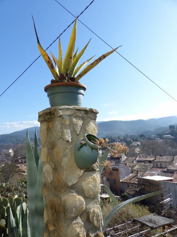 Soleil bienvenu