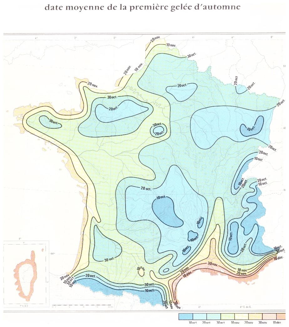 Image d'illustration pour Retour des gelées en plaine