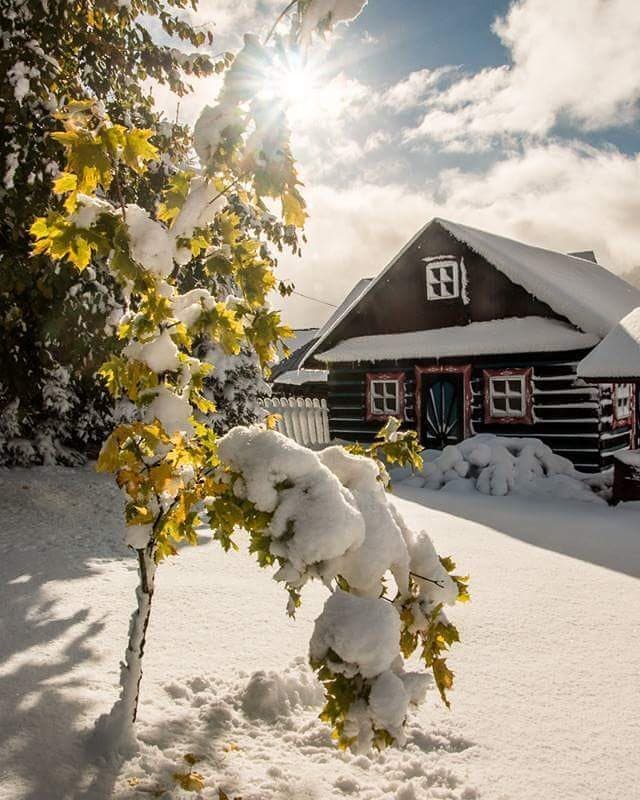 Image d'illustration pour Première chute de neige de la saison en moyenne montagne