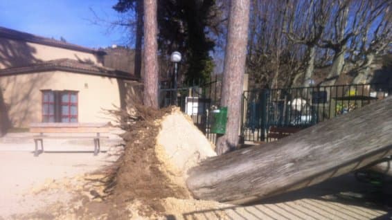 Image d'illustration pour Synthèse : tempête de mistral - tramontane, bise, burle et congère