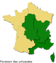 Image d'illustration pour Les pollens de graminées passent à l'offensive !