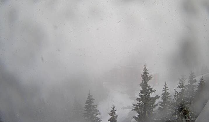 Image d'illustration pour Une seconde partie de printemps durablement perturbée ?